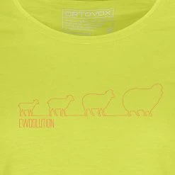 Ortovox Women's Hike & Camp Tops 150 Cool Ewoolution T Shirt Women's -Winter Wear Shop PRI D2